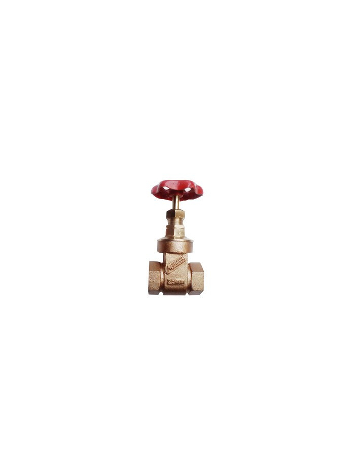 GUN METAL VALVES