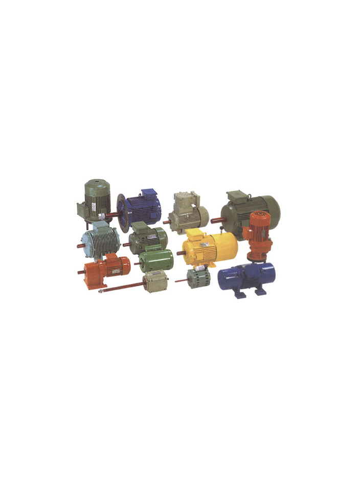 50.0   HP, 2 POLE, 3000 RPM HINDUSTAN IE3  iinduction motors 
