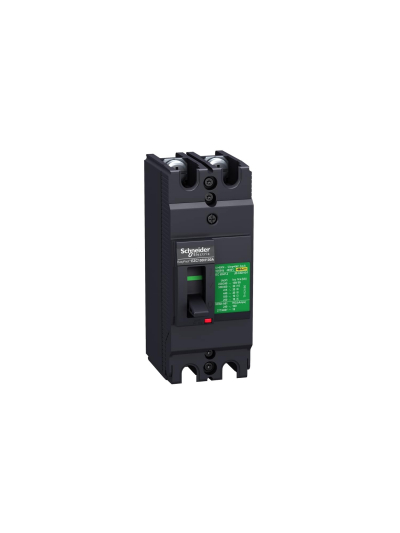 SCHNEIDER, 2 POLE, 40A, with Fixed Thermal Magnetic Trip Unit, EasyPact EZC MCCB