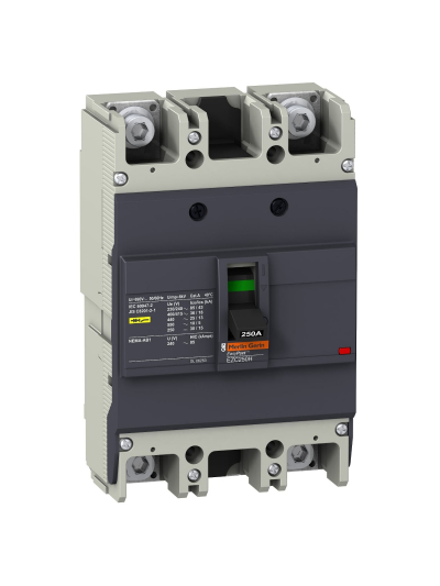 SCHNEIDER, 2 POLE, 125A, with Fixed Thermal Magnetic Trip Unit, EasyPact EZC MCCB