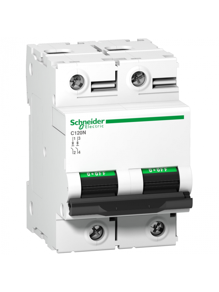 Schneider, 2 Pole, 80A, C120N AC MCB