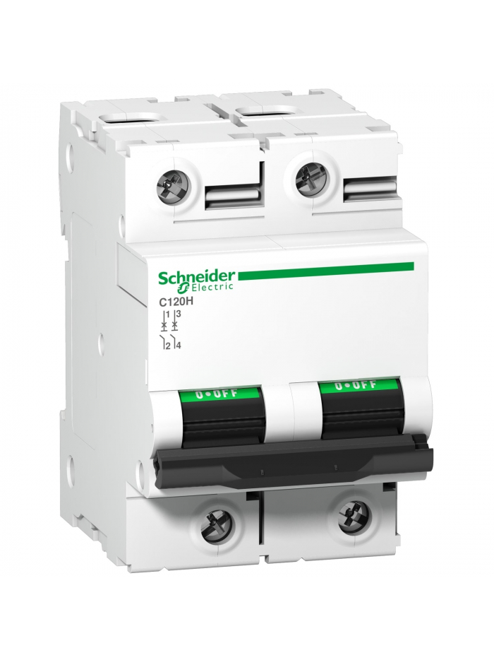Schneider, 2 Pole, 125A, C120H AC MCB