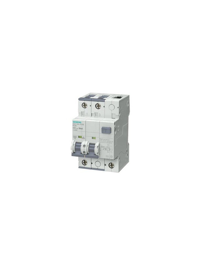 SIEMENS, 63A, 2 Pole, 100mA Betagard 5SU1, class AC RCB