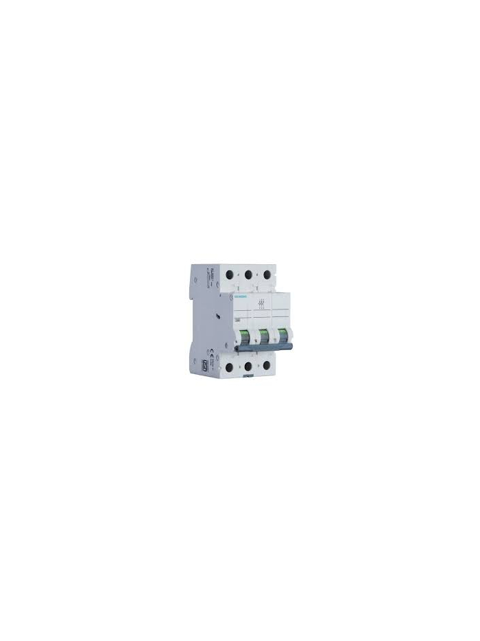 SIEMENS, 3 Pole, 6A, Betagard 5SL7 D-CURVE MCB