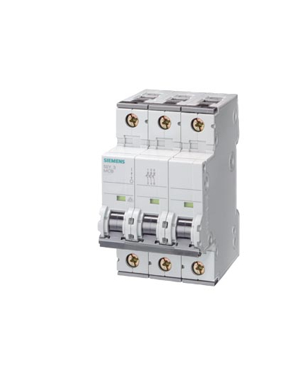 SIEMENS, 2 Pole, 80A, Betagard 5SY4 C-CURVE MCB