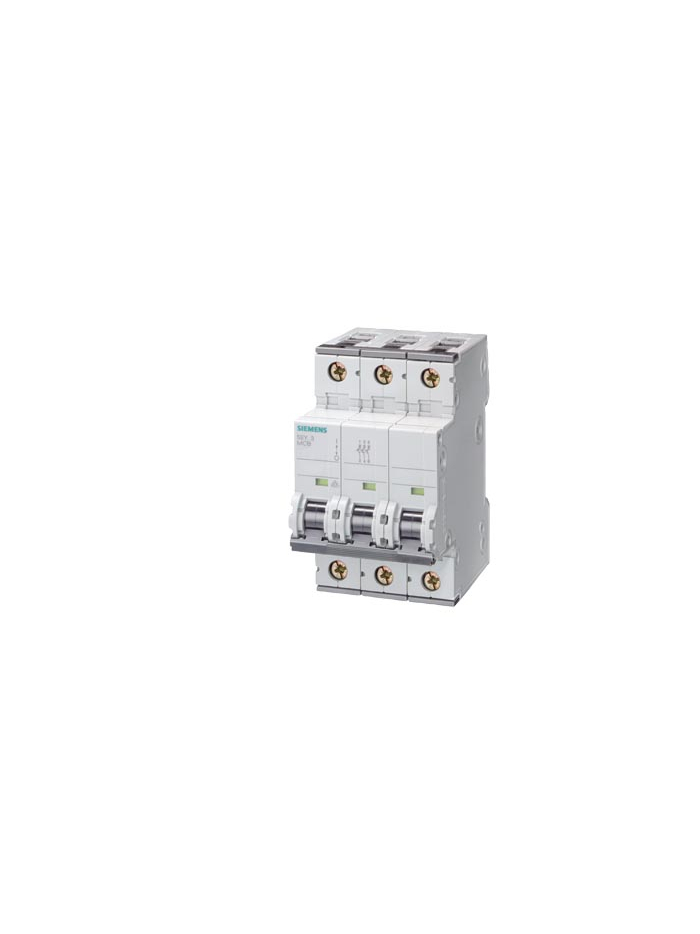 SIEMENS, 2 Pole, 80A, Betagard 5SY4 C-CURVE MCB