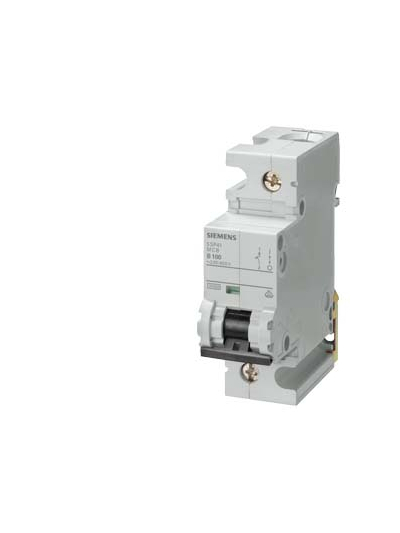 SIEMENS, 1 Pole, 100A, Betagard 5SP4 D-CURVE MCB