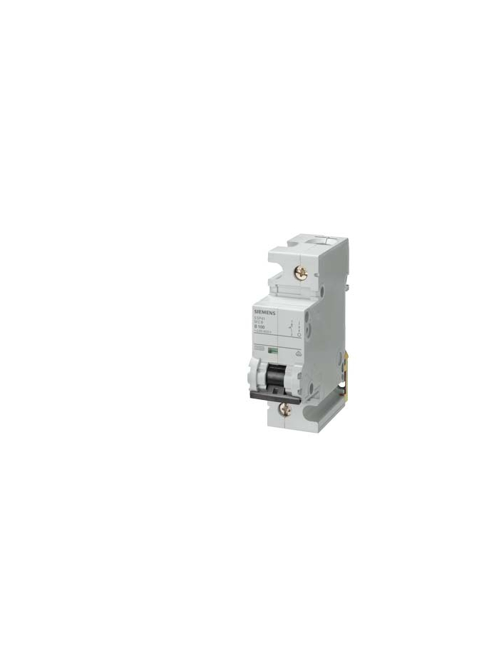 SIEMENS, 1 Pole, 100A, Betagard 5SP4 D-CURVE MCB