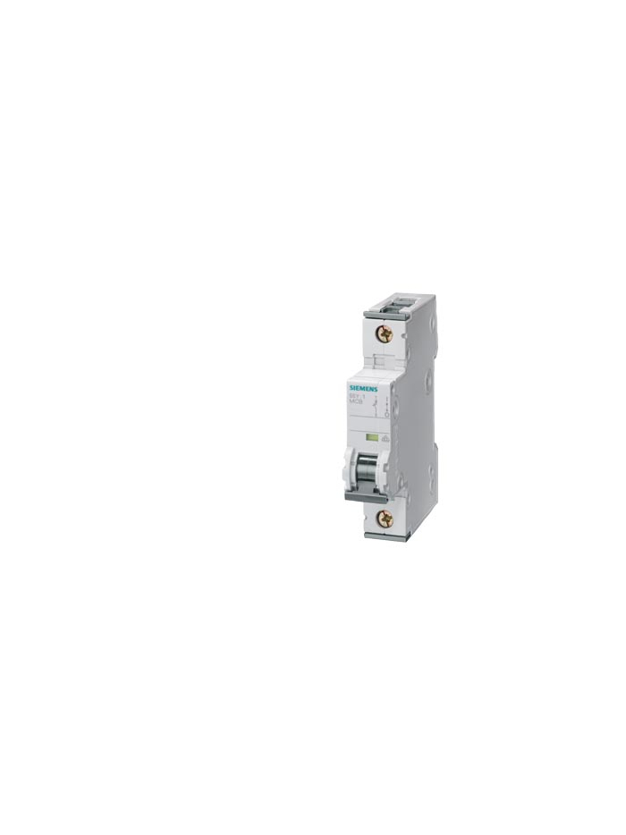 SIEMENS, 1 Pole, 80A, Betagard 5SY4 C-CURVE MCB