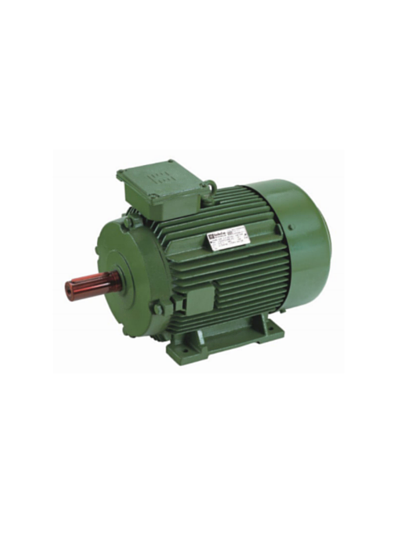 30/40 HP 8/6 POLE HINDUSTAN Two Speed Induction Motor