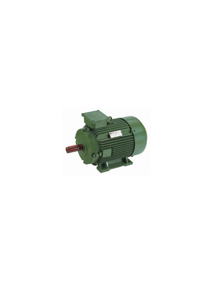 40/50 HP 6/4 POLE HINDUSTAN Two Speed Induction Motor