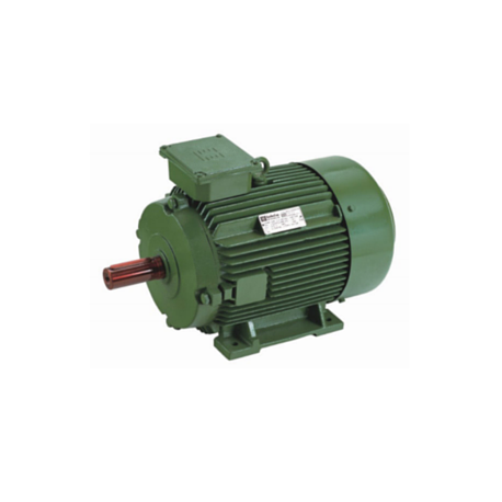 60/75 HP 6/4 POLE HINDUSTAN Two Speed Induction Motor