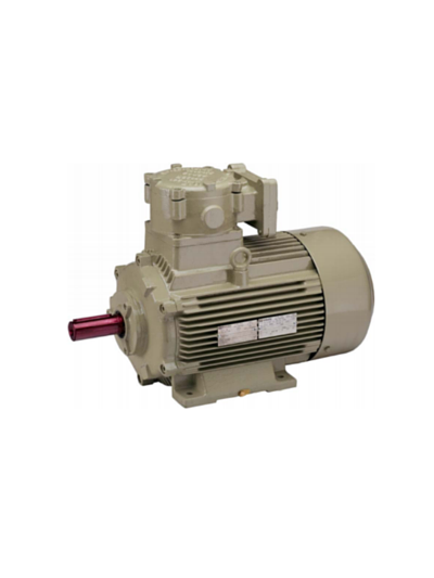 0.125/0.16 HP 4/2 POLE HINDUSTAN Flameproof Two Speed Induction Motor