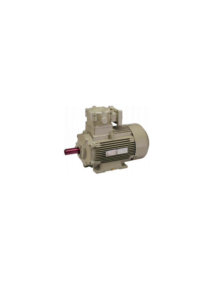 0.125/0.16 HP 4/2 POLE HINDUSTAN Flameproof Two Speed Induction Motor