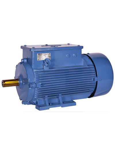 BHARAT BIJLEE, 5.3HP, 6 Pole, 3 Phase, 1000 RPM, CRANE DUTY SLIP RING MOTOR