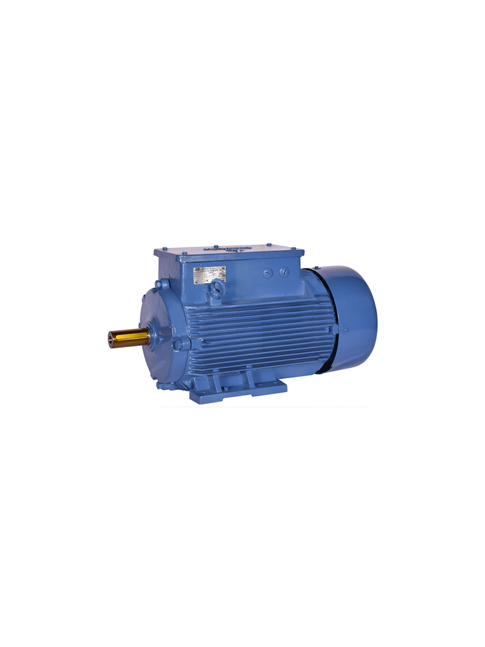 BHARAT BIJLEE, 5.3HP, 6 Pole, 3 Phase, 1000 RPM, CRANE DUTY SLIP RING MOTOR