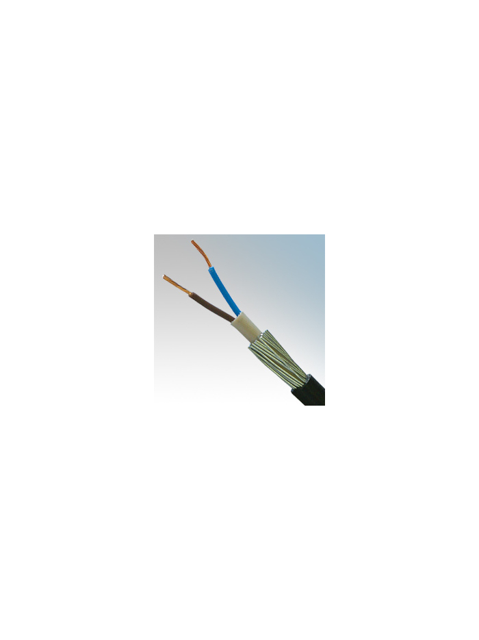 POLYCAB 2CX 2.5 sq.mm. LT ARMOURED CU CABLE