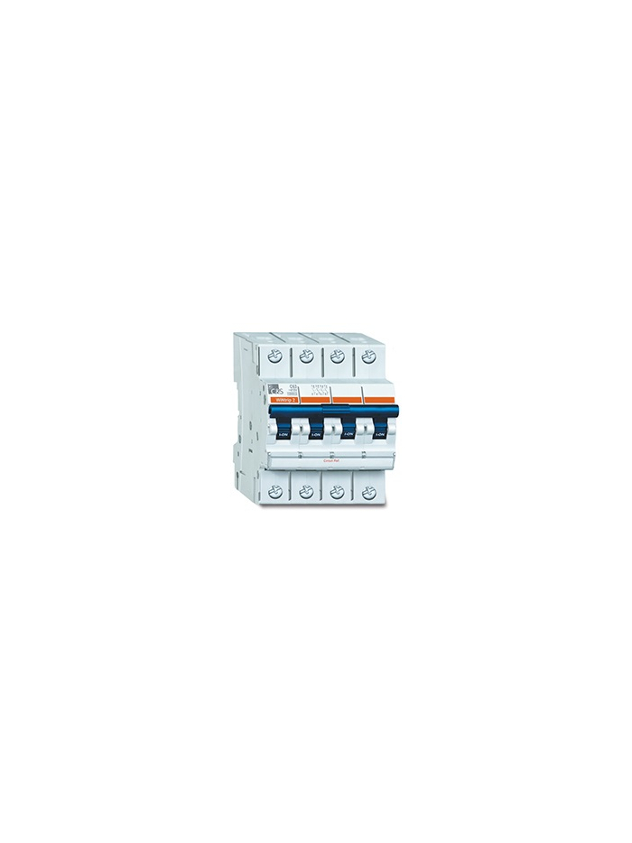 C&S, 40A, 4 Pole, B-Curve, WiNtrip2 MCB