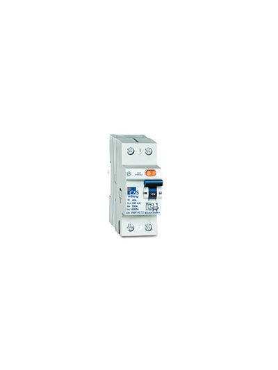 C&S, 25A, 2 Pole, 100mA, WiNtrip RCCB
