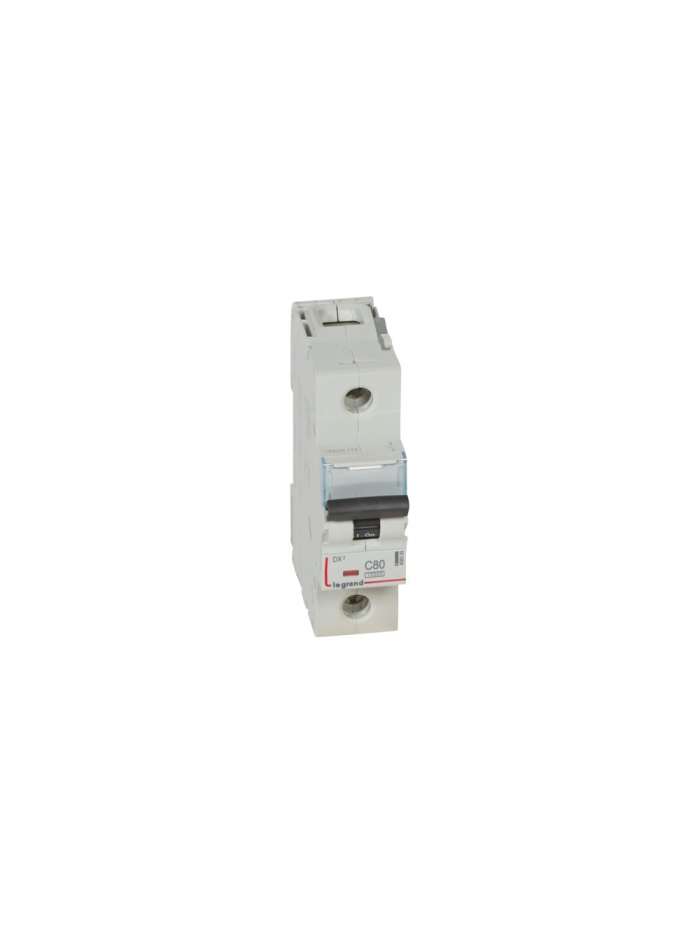 Legrand, 1 Pole, 80A, DX³ MCB