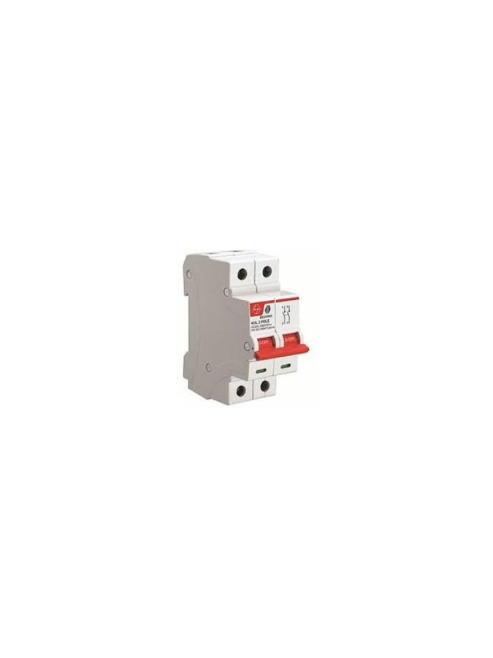 L&T, 100A, 2 Pole ISOLATER 