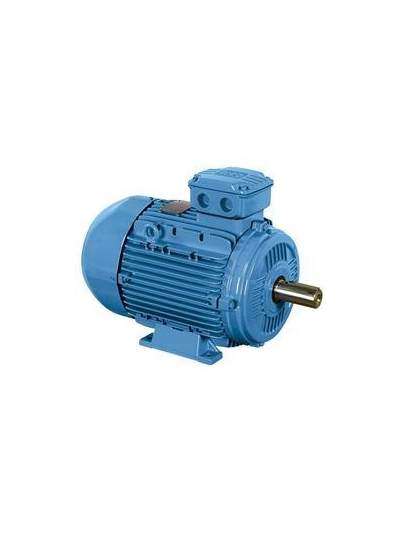 CROMPTON,1 HP,2 POLE,3000 rpm MOTOR