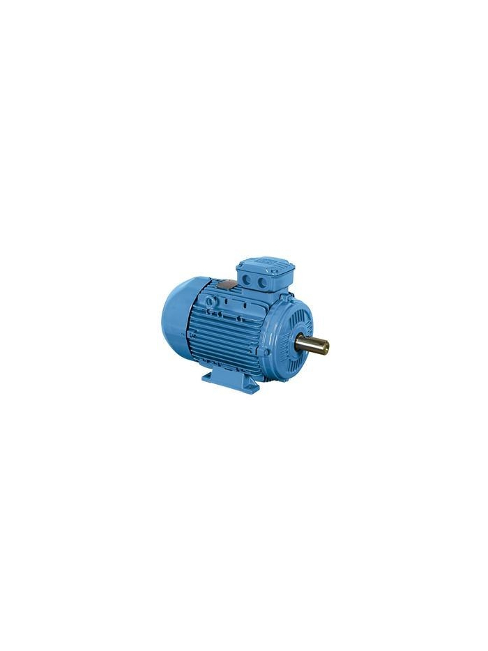 CROMPTON,1 HP,2 POLE,3000 rpm MOTOR