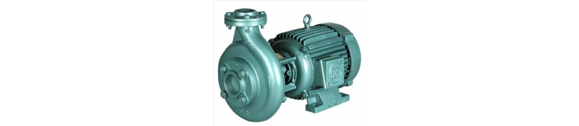 DOMESTIC PUMPS